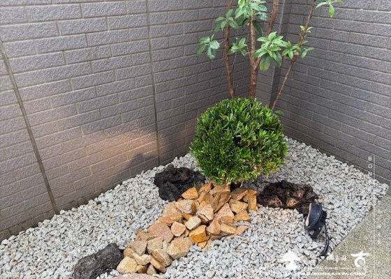 img 7501 1 [我們的作品]景觀設計施工-案122303 客戶案例