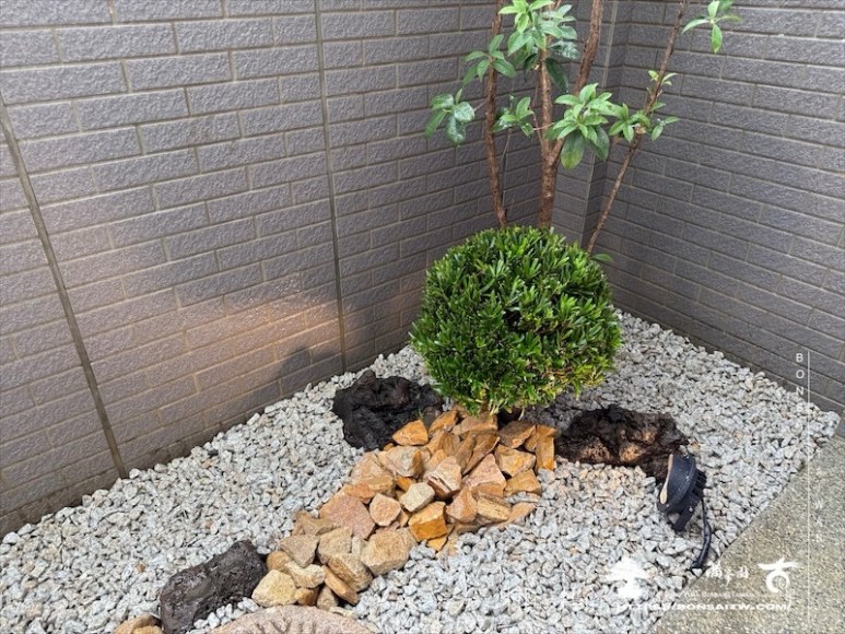 img 7501 1 [我們的作品]景觀設計施工-案122303 客戶案例