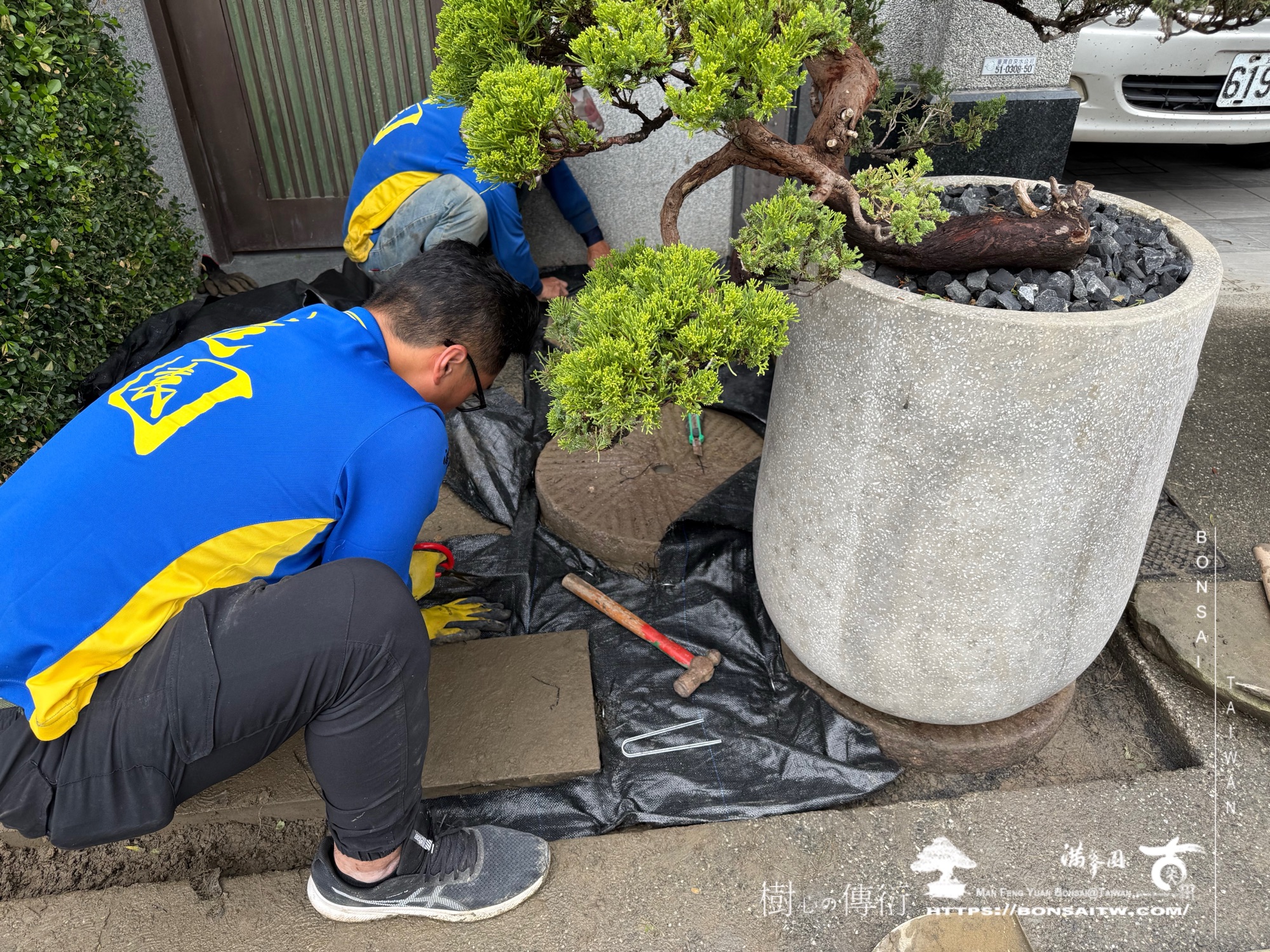 img 7508 1 [我們的作品]景觀設計施工-案122304 盆栽(Bonsai)