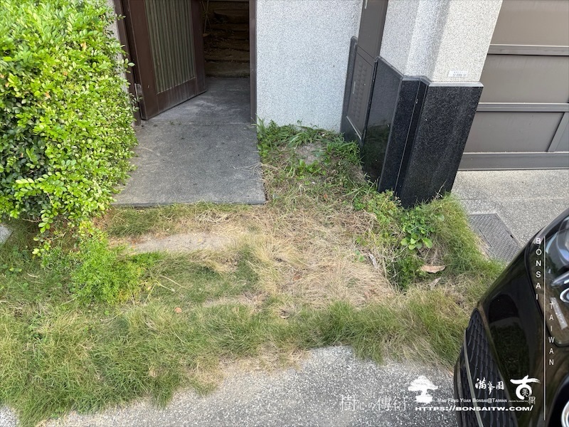 img 7510 1 [我們的作品]景觀設計施工-案122304 盆栽(Bonsai)