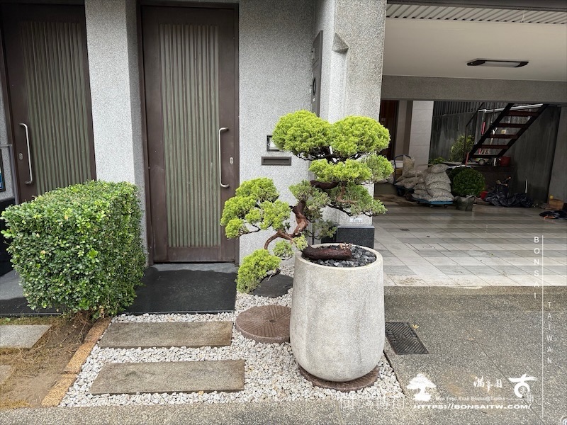 img 7513 1 [我們的作品]景觀設計施工-案122304 盆栽(Bonsai)