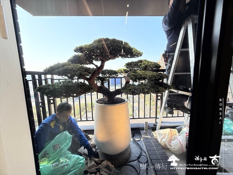 img 0188 1 [我們的作品]景觀設計施工-案0121 盆栽(Bonsai)