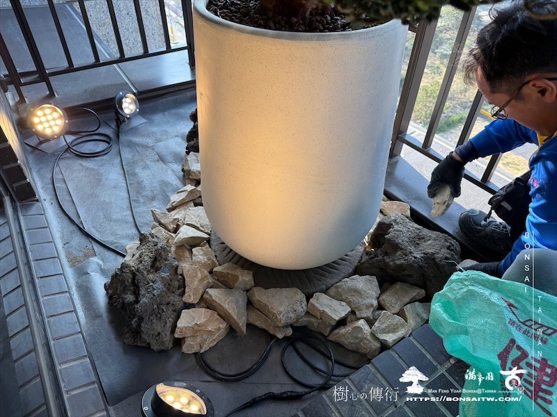 img 0190 1 [我們的作品]景觀設計施工-案0121 盆栽(Bonsai)