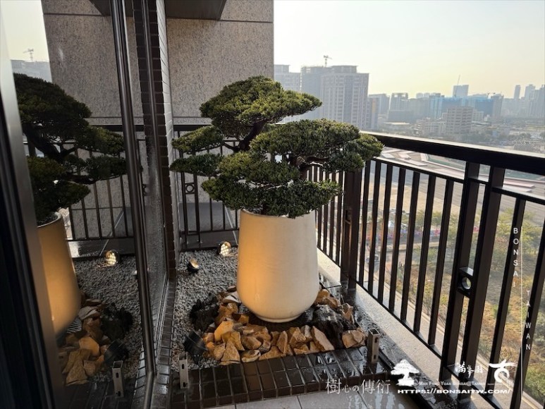 img 0192 1 [我們的作品]景觀設計施工-案0121 盆栽(Bonsai)