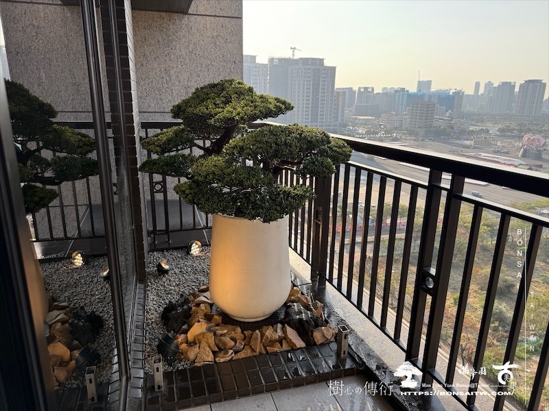 img 0196 1 [我們的作品]景觀設計施工-案0121 盆栽(Bonsai)
