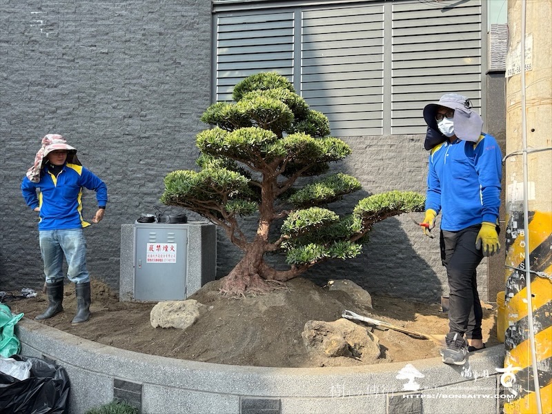 img 0691 1 [我們的作品]景觀設計施工-案0125 露台造景