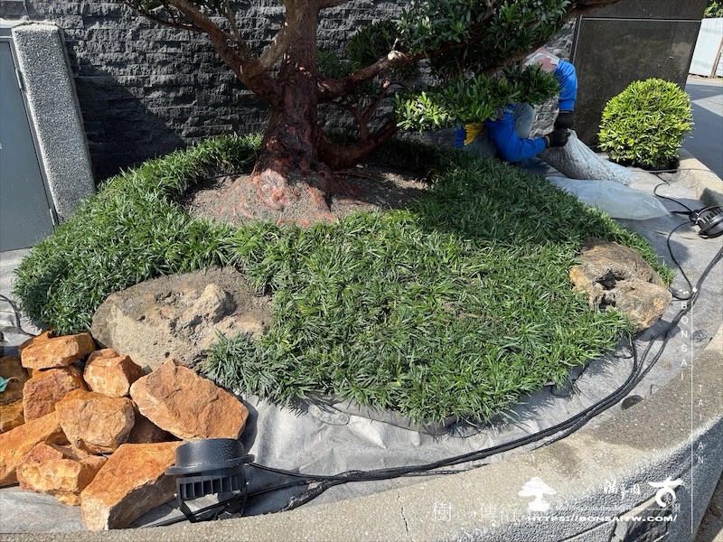 img 0718 1 [我們的作品]景觀設計施工-案0125 露台造景