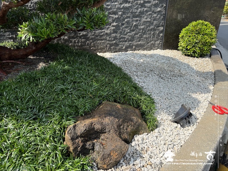 img 0720 1 [我們的作品]景觀設計施工-案0125 露台造景