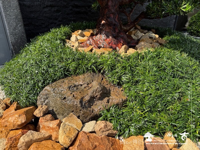 img 0726 1 [我們的作品]景觀設計施工-案0125 露台造景