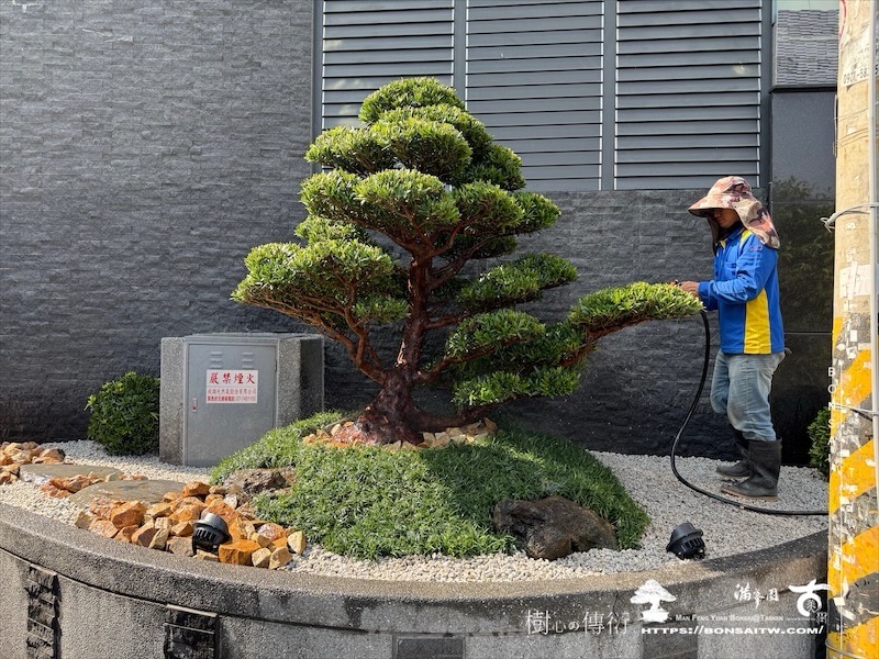 img 0727 1 [我們的作品]景觀設計施工-案0125 露台造景