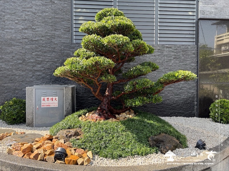 img 0729 1 [我們的作品]景觀設計施工-案0125 露台造景