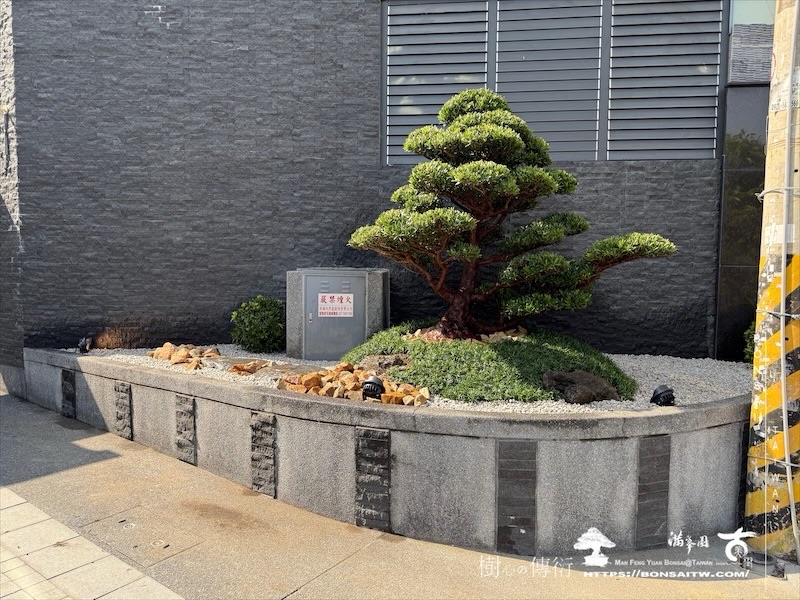 img 0730 1 [我們的作品]景觀設計施工-案0125 露台造景