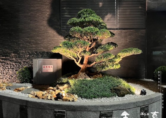 img 0735 1 [我們的作品]景觀設計施工-案0125 客戶案例