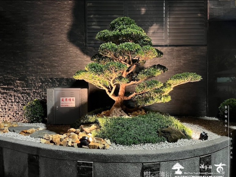 img 0735 1 [我們的作品]景觀設計施工-案0125 露台造景