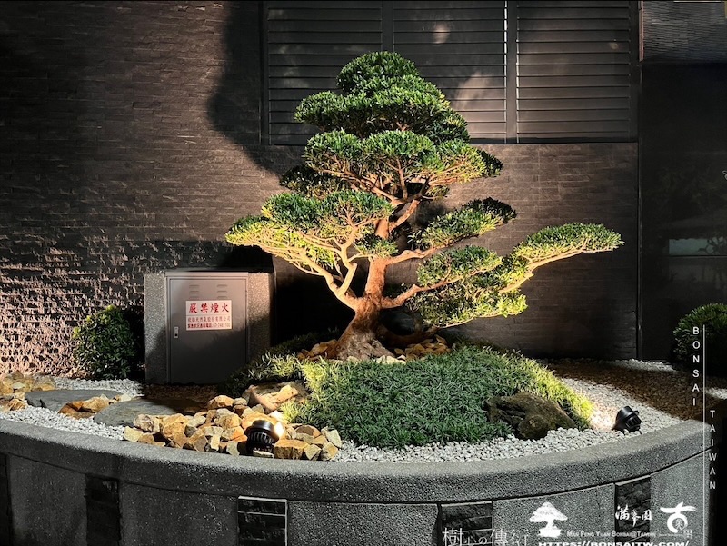 img 0735 1 [我們的作品]景觀設計施工-案0125 露台造景