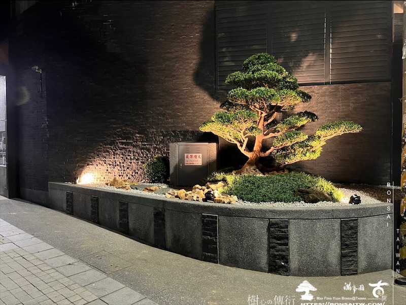 img 0737 1 [我們的作品]景觀設計施工-案0125 露台造景