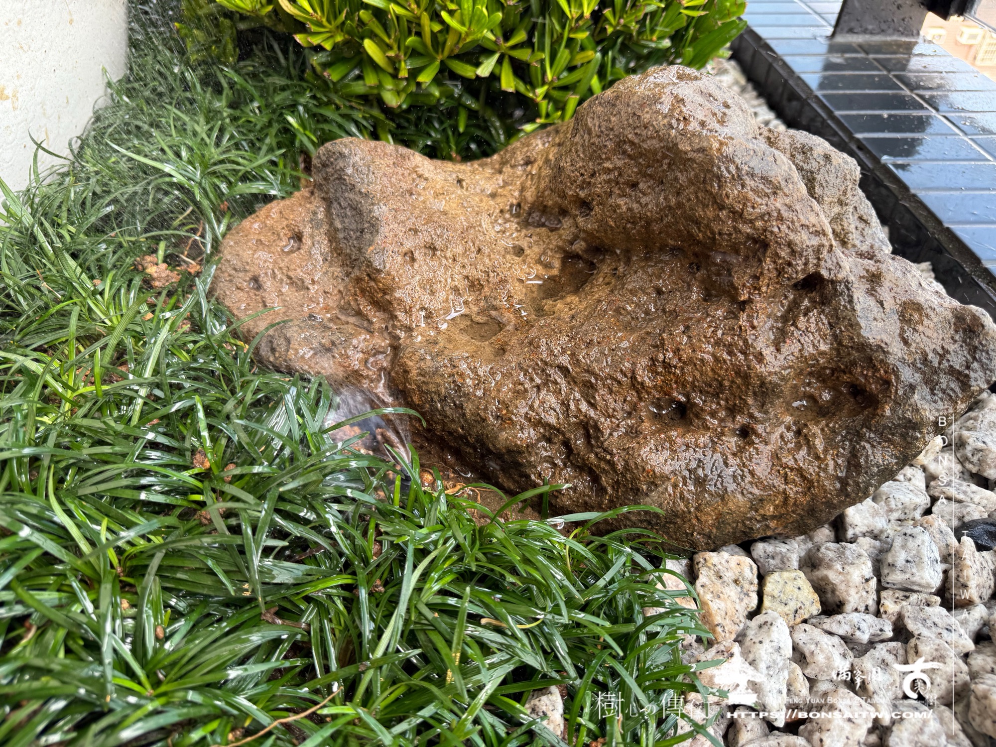 img 3554 1 [我們的作品]露台景觀設計施工-案0227 盆栽(Bonsai)