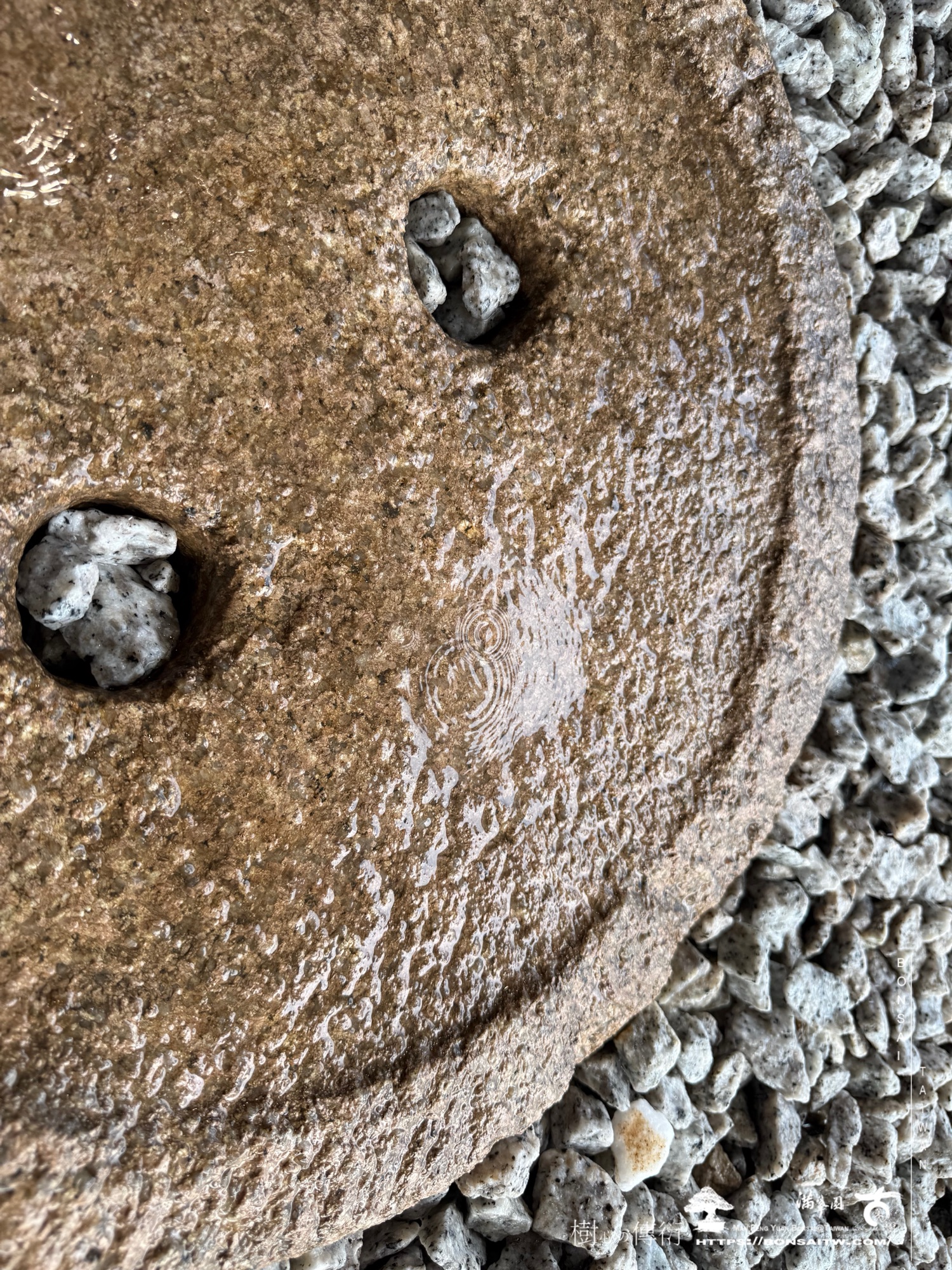 img 3555 1 [我們的作品]露台景觀設計施工-案0227 盆栽(Bonsai)