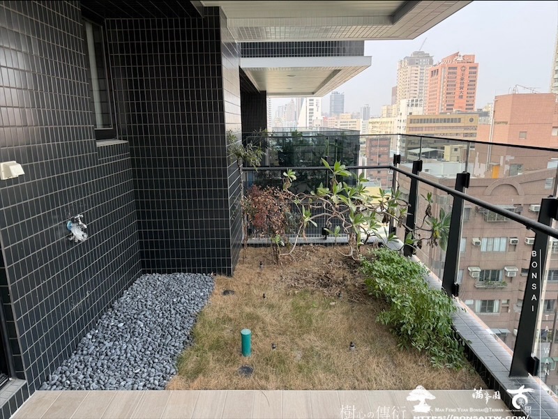 img 3573 1 [我們的作品]露台景觀設計施工-案0227 盆栽(Bonsai)