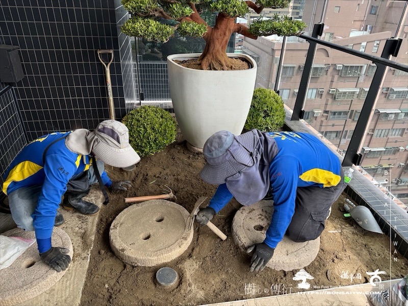 img 3582 1 [我們的作品]露台景觀設計施工-案0227 盆栽(Bonsai)