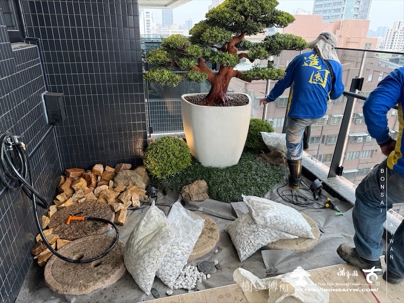 img 3586 1 [我們的作品]露台景觀設計施工-案0227 盆栽(Bonsai)