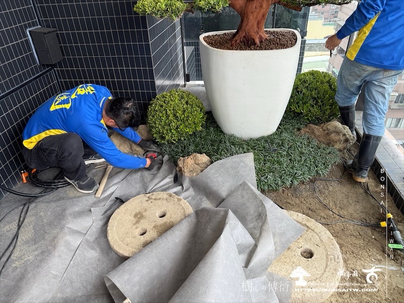 img 3587 1 [我們的作品]露台景觀設計施工-案0227 盆栽(Bonsai)