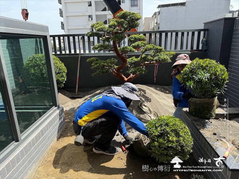 img 5073 1 [我們的作品]露台景觀設計施工-案0312 露台造景