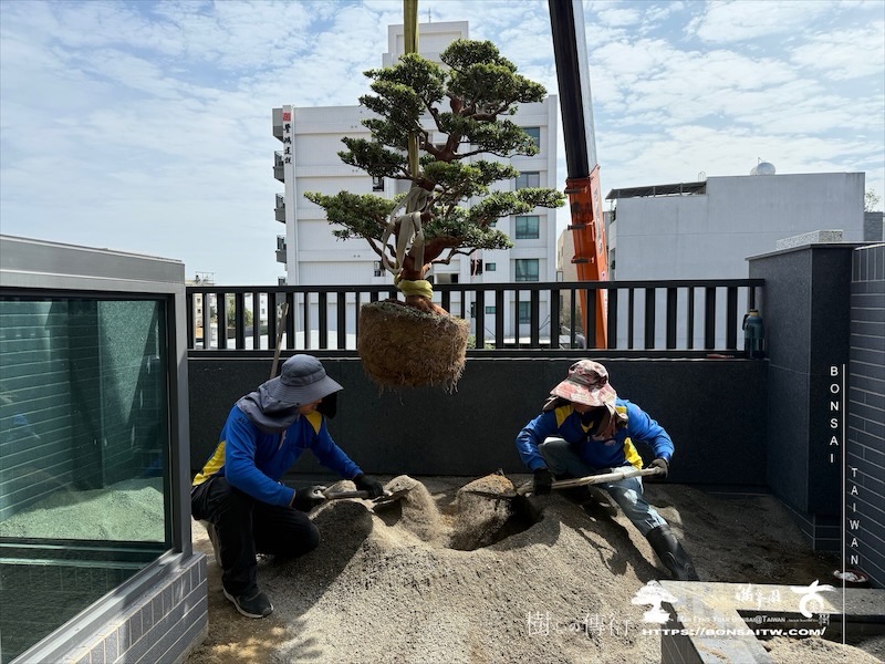 img 5074 2 1 [我們的作品]露台景觀設計施工-案0312 露台造景