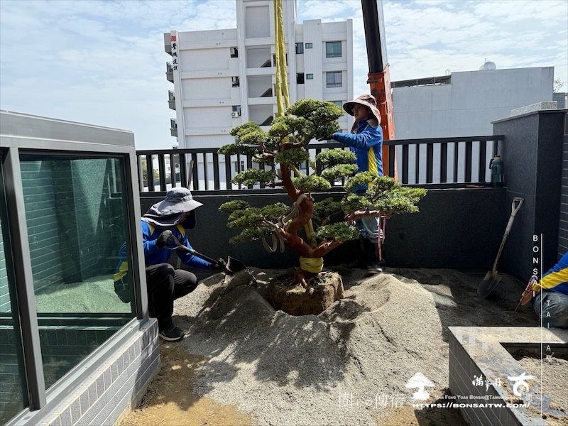 img 5075 2 1 [我們的作品]露台景觀設計施工-案0312 露台造景