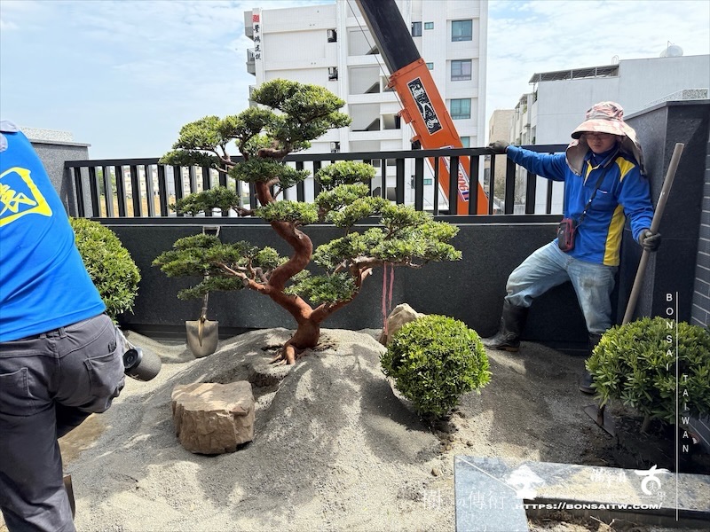 img 5084 1 [我們的作品]露台景觀設計施工-案0312 露台造景