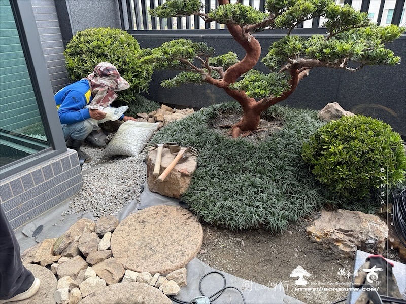 img 5089 1 [我們的作品]露台景觀設計施工-案0312 露台造景