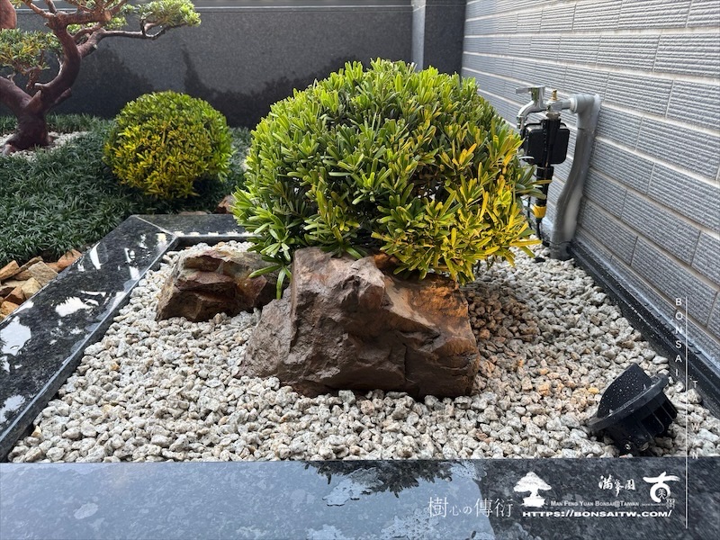 img 5092 1 [我們的作品]露台景觀設計施工-案0312 露台造景