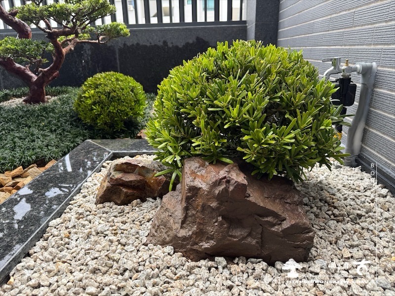 img 5093 1 [我們的作品]露台景觀設計施工-案0312 露台造景