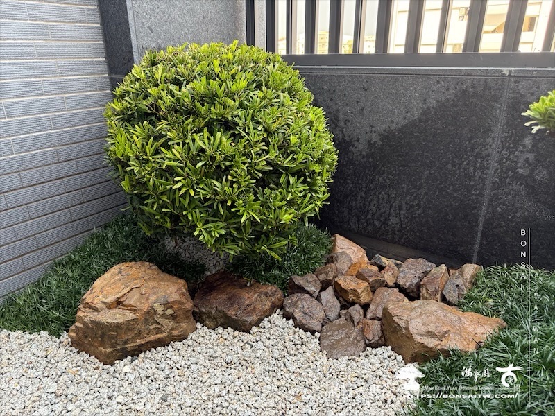 img 5095 1 [我們的作品]露台景觀設計施工-案0312 露台造景