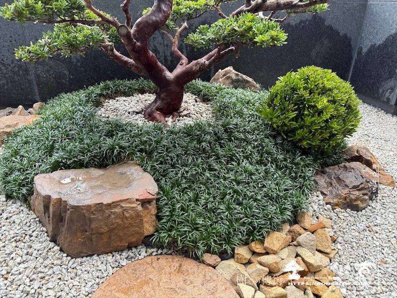 img 5100 1 [我們的作品]露台景觀設計施工-案0312 露台造景