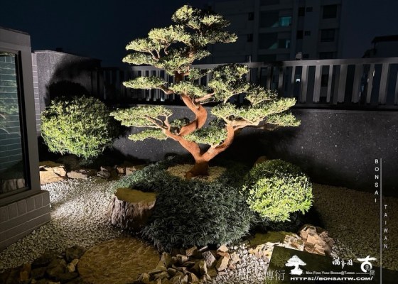 img 5609 1 [我們的作品]露台景觀設計施工-案0312 客戶案例