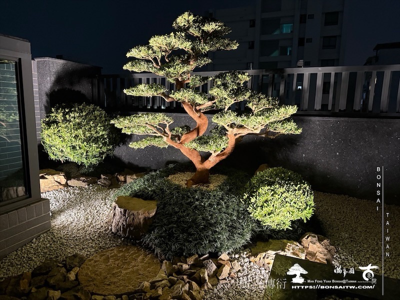 img 5609 1 [我們的作品]露台景觀設計施工-案0312 露台造景