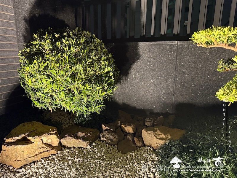 img 5610 1 [我們的作品]露台景觀設計施工-案0312 露台造景