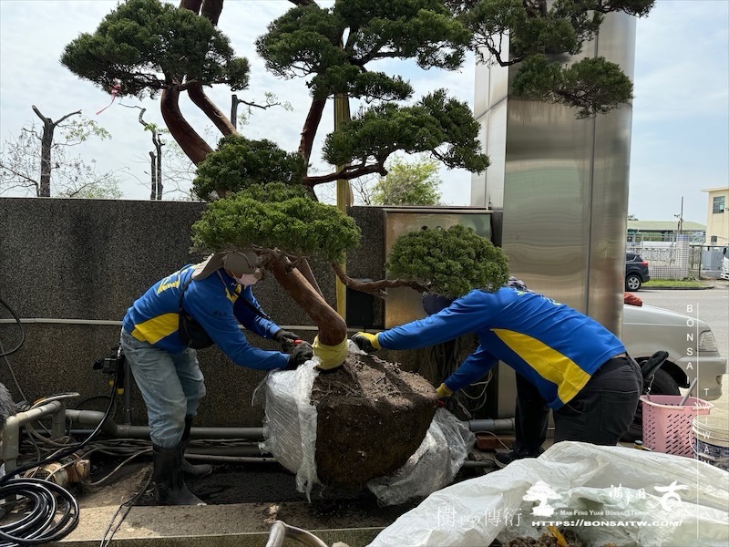 img 5988 1 [我們的作品]景觀設計施工-案0320 客戶案例