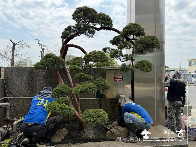 img 5991 1 [我們的作品]景觀設計施工-案0320 客戶案例