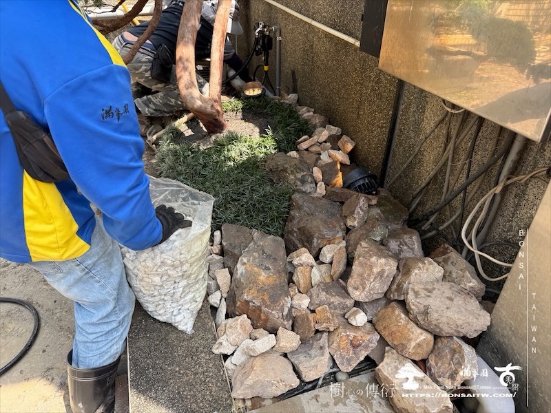 img 5992 1 [我們的作品]景觀設計施工-案0320 客戶案例