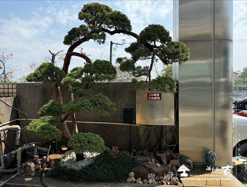 img 5994 1 [我們的作品]景觀設計施工-案0320 客戶案例