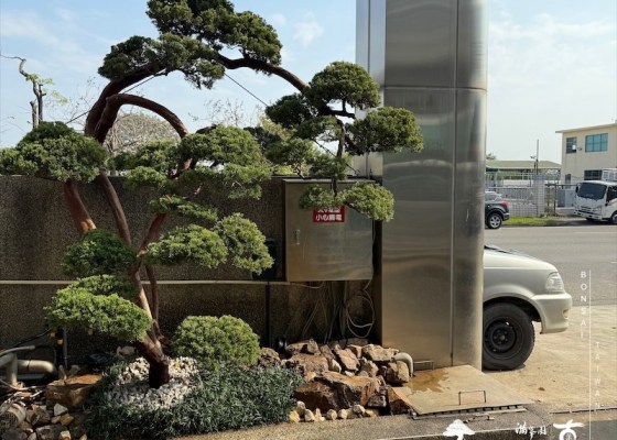 img 5996 1 [我們的作品]景觀設計施工-案0320 客戶案例