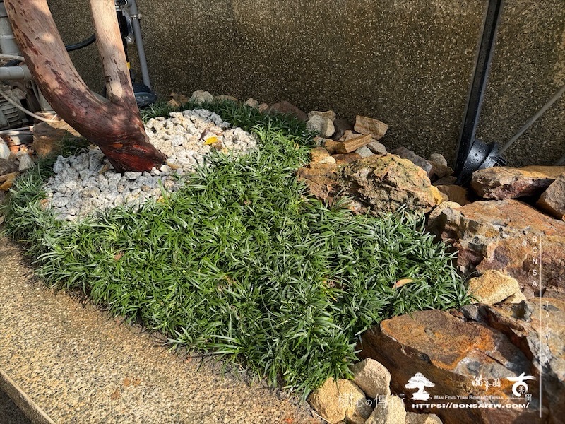 img 5997 1 [我們的作品]景觀設計施工-案0320 客戶案例