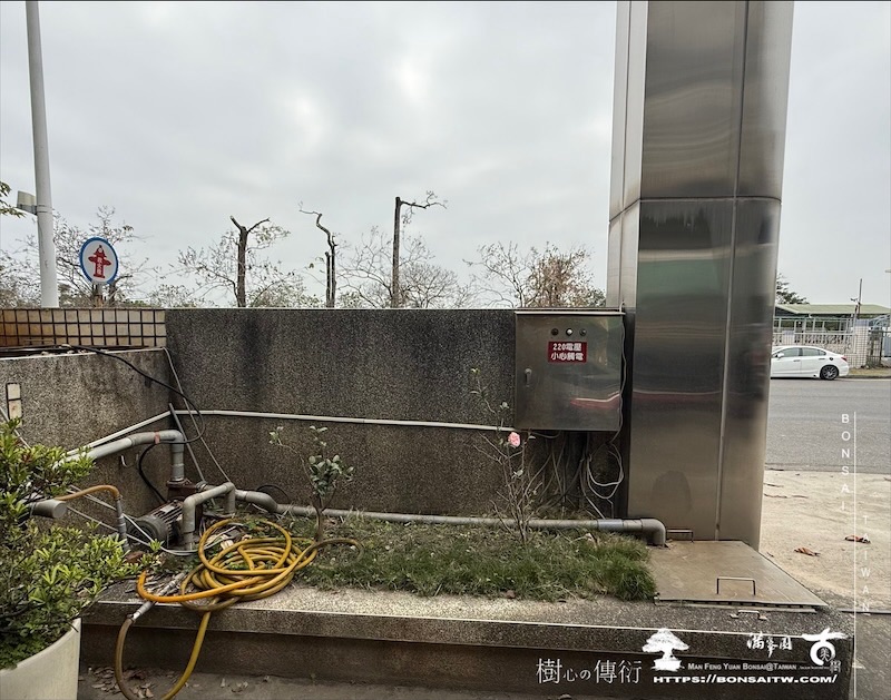 img 6002 1 [我們的作品]景觀設計施工-案0320 客戶案例