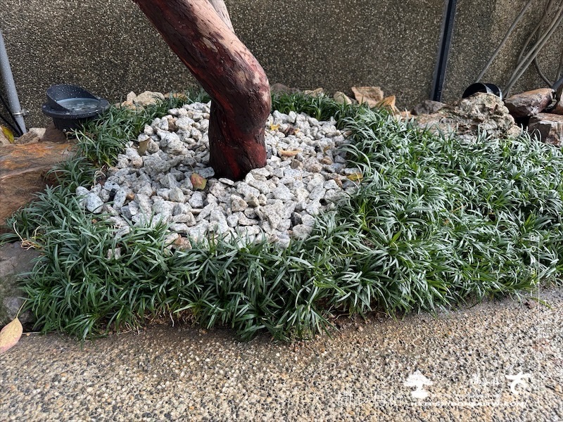 img 6041 1 [我們的作品]景觀設計施工-案0320 客戶案例