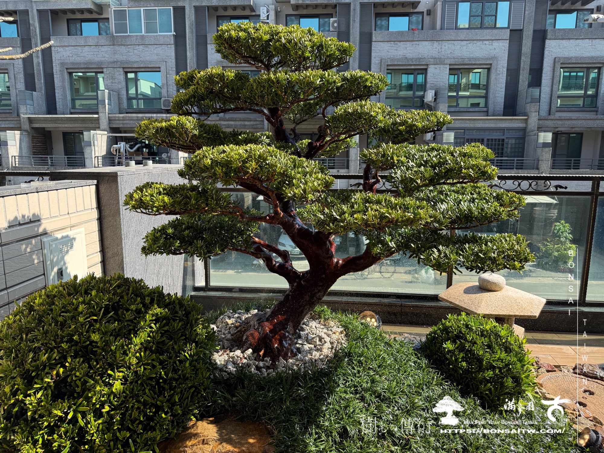 img 6716 1 [我們的作品]景觀設計施工-案0327 露台造景