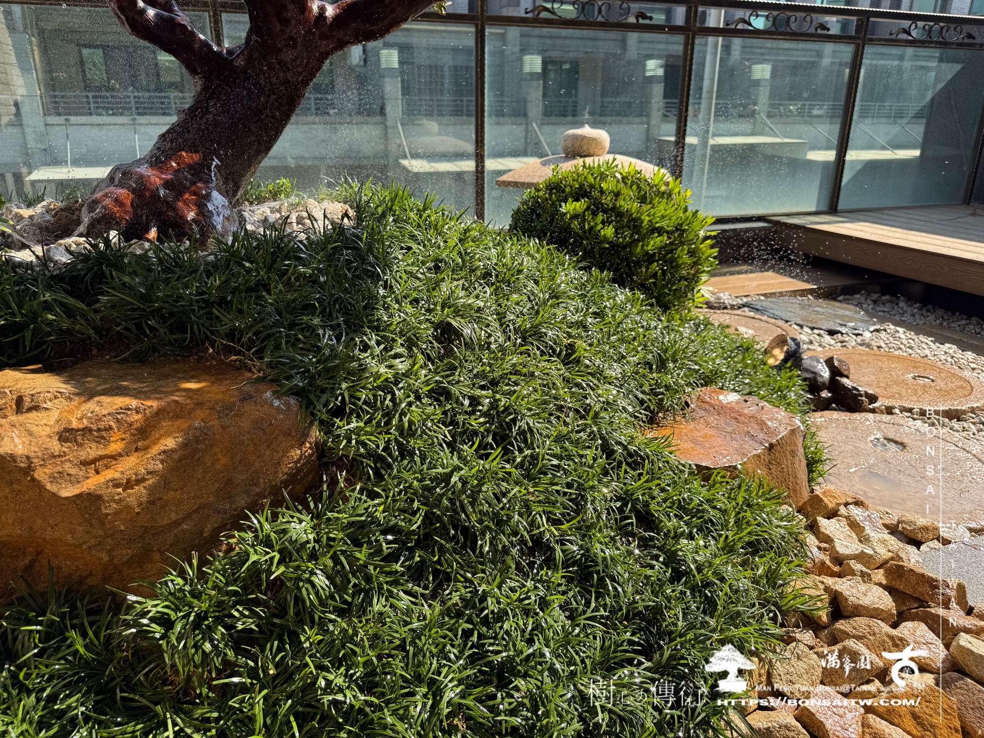 img 6717 1 [我們的作品]景觀設計施工-案0327 露台造景