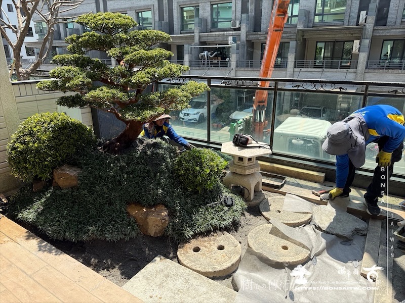 img 6752 1 [我們的作品]景觀設計施工-案0327 露台造景