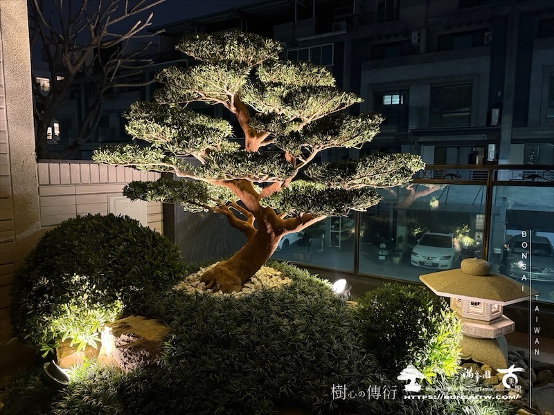 img 6917 2 1 [我們的作品]景觀設計施工-案0327 露台造景